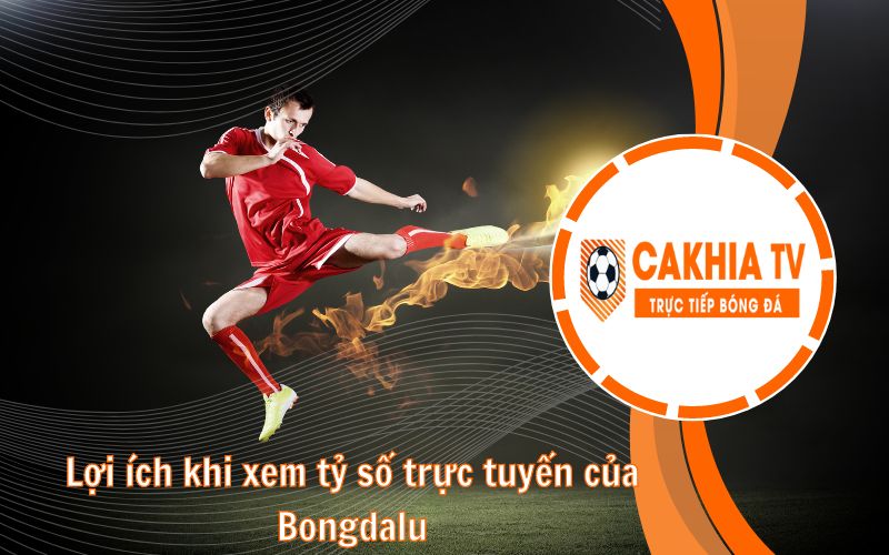 Lợi ích khi xem tỷ số bóng đá Bongdalu tại CakhiaTV
